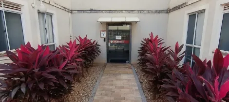 Alugar Apartamento / Padr&atilde;o em S&atilde;o Jos&eacute; do Rio Preto R$ 1.000,00 - Foto 24