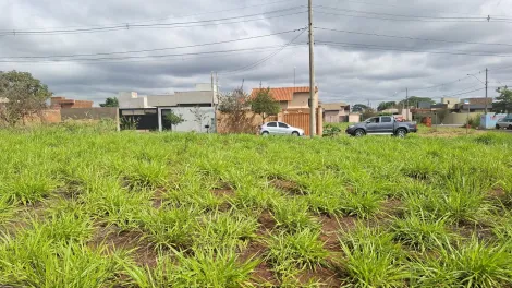 Alugar Terreno / Padr&atilde;o em S&atilde;o Jos&eacute; do Rio Preto. apenas R$ 100.000,00