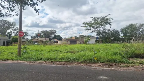 Comprar Terreno / Padr&atilde;o em S&atilde;o Jos&eacute; do Rio Preto R$ 100.000,00 - Foto 2