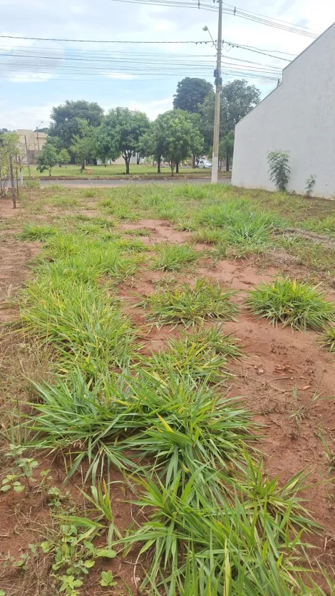 Alugar Terreno / Padr&atilde;o em Cedral. apenas R$ 100.000,00