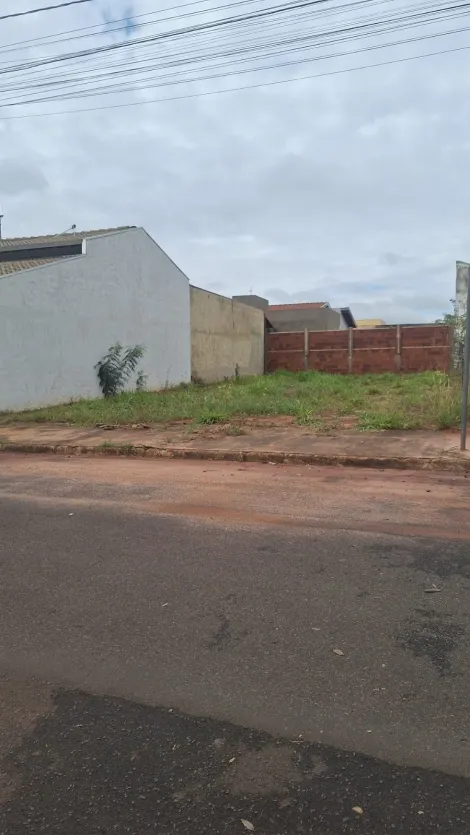 Comprar Terreno / Padr&atilde;o em Cedral R$ 100.000,00 - Foto 2