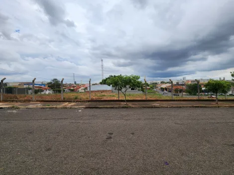 Comprar Terreno / Padr&atilde;o em S&atilde;o Jos&eacute; do Rio Preto R$ 345.000,00 - Foto 9