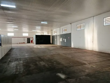 Alugar Comercial / Sal&atilde;o em S&atilde;o Jos&eacute; do Rio Preto R$ 14.000,00 - Foto 3