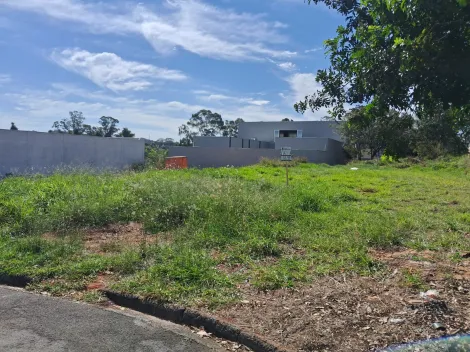 Comprar Terreno / Padr&atilde;o em Bady Bassitt R$ 269.000,00 - Foto 3