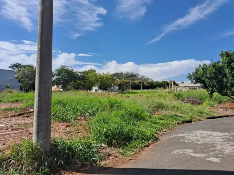 Comprar Terreno / Padr&atilde;o em Bady Bassitt R$ 269.000,00 - Foto 2