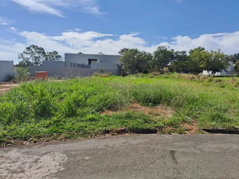 Comprar Terreno / Padr&atilde;o em Bady Bassitt R$ 269.000,00 - Foto 5