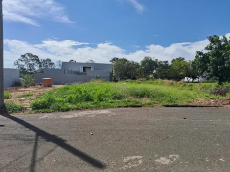 Comprar Terreno / Padr&atilde;o em Bady Bassitt R$ 269.000,00 - Foto 6