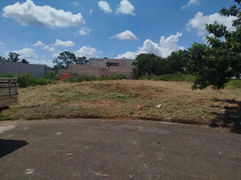 Comprar Terreno / Padr&atilde;o em Bady Bassitt R$ 269.000,00 - Foto 13