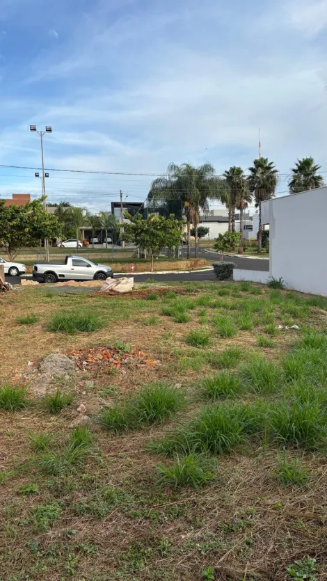 Comprar Terreno / Condom&iacute;nio em S&atilde;o Jos&eacute; do Rio Preto R$ 305.000,00 - Foto 2