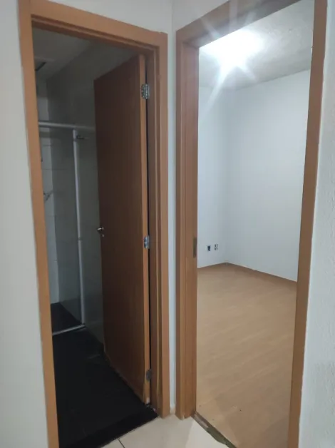 Alugar Apartamento / Padr&atilde;o em S&atilde;o Jos&eacute; do Rio Preto R$ 1.200,00 - Foto 3
