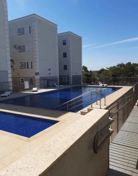 Alugar Apartamento / Padr&atilde;o em S&atilde;o Jos&eacute; do Rio Preto R$ 1.200,00 - Foto 9