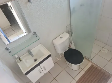Alugar Casa / Condom&iacute;nio em S&atilde;o Jos&eacute; do Rio Preto R$ 1.300,00 - Foto 9