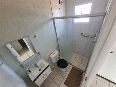 Alugar Casa / Condom&iacute;nio em S&atilde;o Jos&eacute; do Rio Preto R$ 1.300,00 - Foto 10