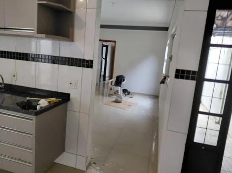 Alugar Casa / Padr&atilde;o em S&atilde;o Jos&eacute; do Rio Preto R$ 2.500,00 - Foto 12