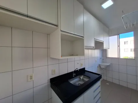 Alugar Apartamento / Padr&atilde;o em S&atilde;o Jos&eacute; do Rio Preto R$ 1.300,00 - Foto 3