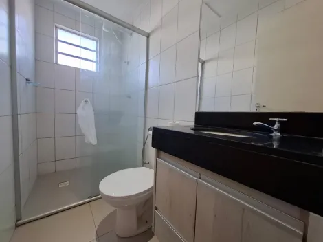 Alugar Apartamento / Padr&atilde;o em S&atilde;o Jos&eacute; do Rio Preto R$ 1.300,00 - Foto 7