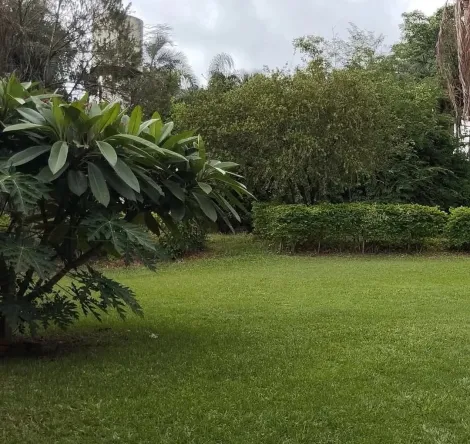 Comprar Rural / Ch&aacute;cara em S&atilde;o Jos&eacute; do Rio Preto R$ 550.000,00 - Foto 3
