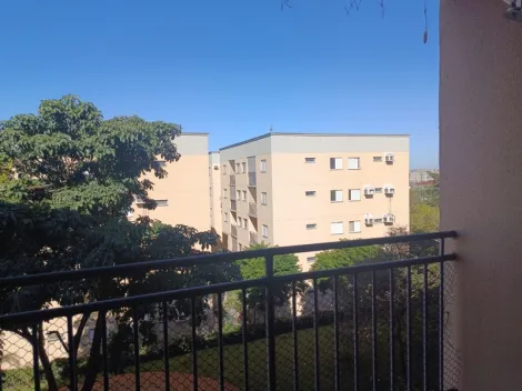 Alugar Apartamento / Padr&atilde;o em S&atilde;o Jos&eacute; do Rio Preto R$ 1.150,00 - Foto 7