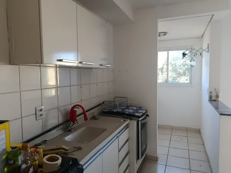 Alugar Apartamento / Padr&atilde;o em S&atilde;o Jos&eacute; do Rio Preto R$ 1.150,00 - Foto 8