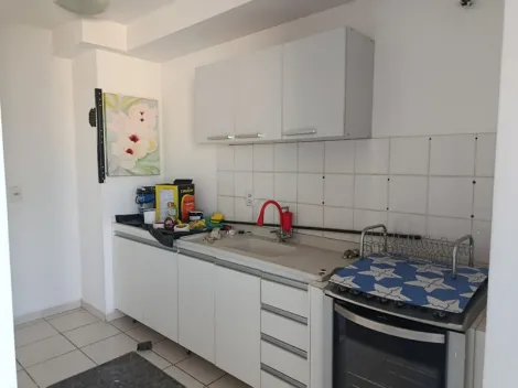 Alugar Apartamento / Padr&atilde;o em S&atilde;o Jos&eacute; do Rio Preto R$ 1.150,00 - Foto 9