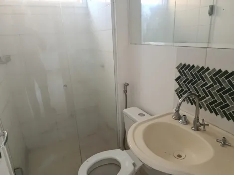 Alugar Apartamento / Padr&atilde;o em S&atilde;o Jos&eacute; do Rio Preto R$ 1.150,00 - Foto 14