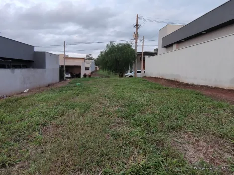Comprar Terreno / Condom&iacute;nio em Bady Bassitt R$ 115.000,00 - Foto 2