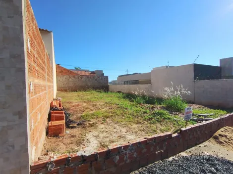 Comprar Terreno / Padr&atilde;o em Mirassol R$ 98.000,00 - Foto 3