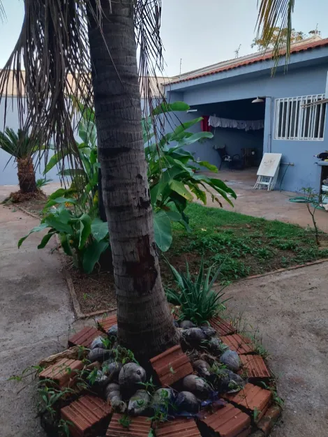 Alugar Casa / Padr&atilde;o em S&atilde;o Jos&eacute; do Rio Preto R$ 3.300,00 - Foto 5