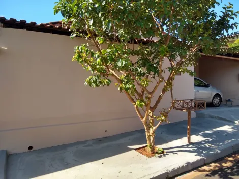 Alugar Casa / Padr&atilde;o em S&atilde;o Jos&eacute; do Rio Preto. apenas R$ 199.000,00