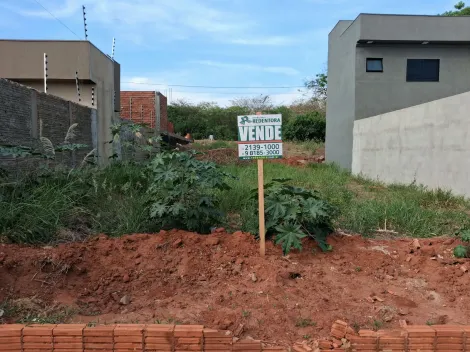 Alugar Terreno / Padr&atilde;o em S&atilde;o Jos&eacute; do Rio Preto. apenas R$ 137.000,00