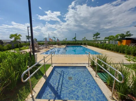 Comprar Casa / Condom&iacute;nio em S&atilde;o Jos&eacute; do Rio Preto R$ 550.000,00 - Foto 12
