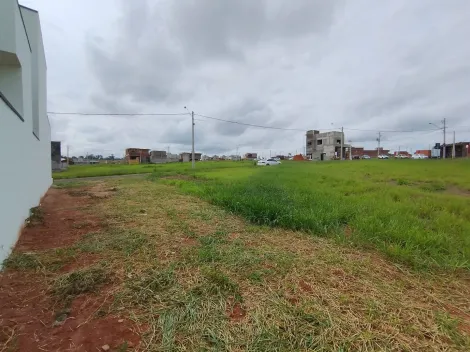 Comprar Terreno / Condom&iacute;nio em S&atilde;o Jos&eacute; do Rio Preto R$ 340.000,00 - Foto 2