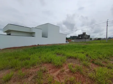 Comprar Terreno / Condom&iacute;nio em S&atilde;o Jos&eacute; do Rio Preto R$ 340.000,00 - Foto 3