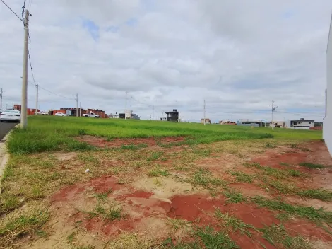 Comprar Terreno / Condom&iacute;nio em S&atilde;o Jos&eacute; do Rio Preto R$ 340.000,00 - Foto 5