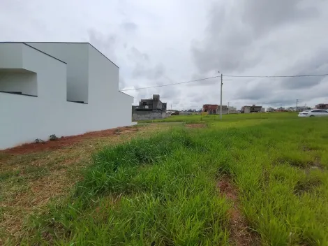 Comprar Terreno / Condom&iacute;nio em S&atilde;o Jos&eacute; do Rio Preto R$ 340.000,00 - Foto 6