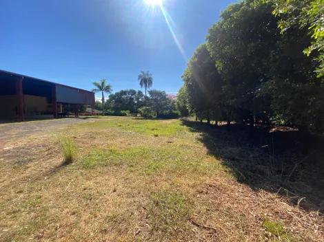 Alugar Comercial / Sal&atilde;o em S&atilde;o Jos&eacute; do Rio Preto R$ 10.000,00 - Foto 2