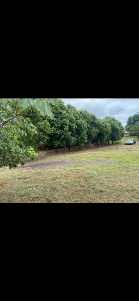 Alugar Comercial / Sal&atilde;o em S&atilde;o Jos&eacute; do Rio Preto R$ 10.000,00 - Foto 3