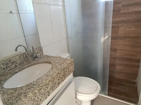 Alugar Apartamento / Cobertura em S&atilde;o Jos&eacute; do Rio Preto R$ 1.900,00 - Foto 18