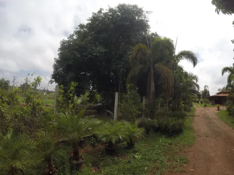 Comprar Rural / Ch&aacute;cara em S&atilde;o Jos&eacute; do Rio Preto R$ 3.490.000,00 - Foto 39