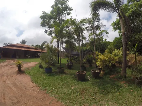 Comprar Rural / Ch&aacute;cara em S&atilde;o Jos&eacute; do Rio Preto R$ 3.490.000,00 - Foto 2