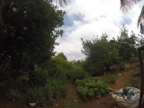 Comprar Rural / Ch&aacute;cara em S&atilde;o Jos&eacute; do Rio Preto R$ 3.490.000,00 - Foto 41