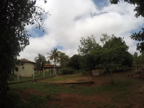Comprar Rural / Ch&aacute;cara em S&atilde;o Jos&eacute; do Rio Preto R$ 3.490.000,00 - Foto 52