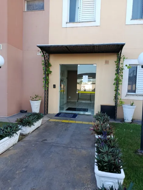 Comprar Apartamento / Padr&atilde;o em S&atilde;o Jos&eacute; do Rio Preto R$ 240.000,00 - Foto 13