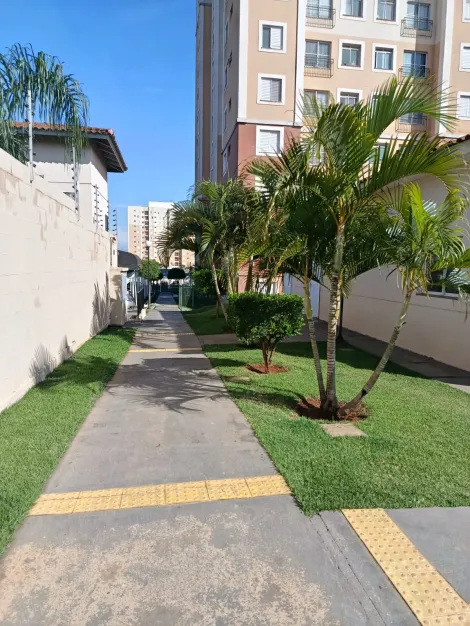 Comprar Apartamento / Padr&atilde;o em S&atilde;o Jos&eacute; do Rio Preto R$ 240.000,00 - Foto 17