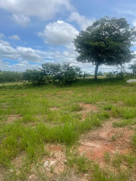 Alugar Terreno / Padr&atilde;o em S&atilde;o Jos&eacute; do Rio Preto. apenas R$ 80.000,00