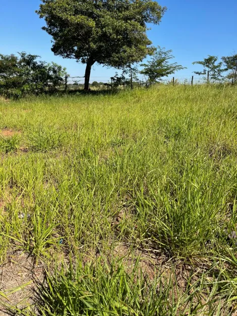 Comprar Terreno / Padr&atilde;o em S&atilde;o Jos&eacute; do Rio Preto R$ 80.000,00 - Foto 2