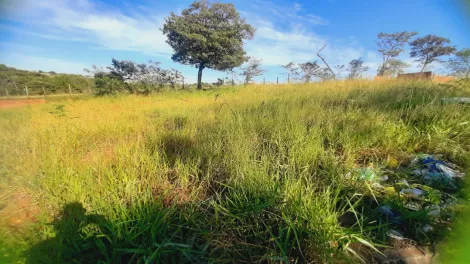 Comprar Terreno / Padr&atilde;o em S&atilde;o Jos&eacute; do Rio Preto R$ 80.000,00 - Foto 4