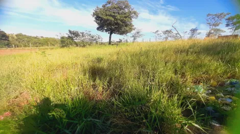 Comprar Terreno / Padr&atilde;o em S&atilde;o Jos&eacute; do Rio Preto R$ 80.000,00 - Foto 8
