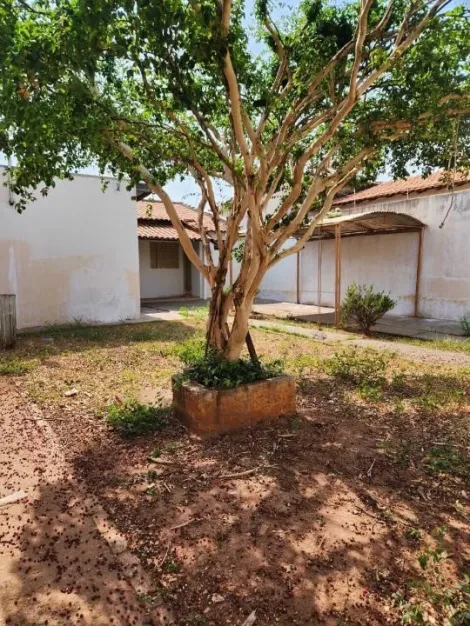 Comprar Casa / Padr&atilde;o em Mirassol R$ 160.000,00 - Foto 11