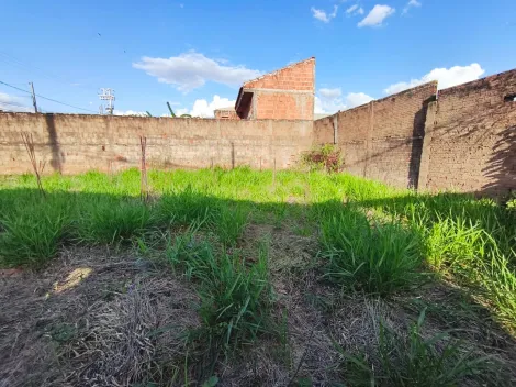 Alugar Terreno / Padr&atilde;o em Bady Bassitt. apenas R$ 100.000,00